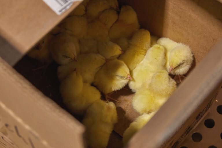 Millers Feed Service Location 26