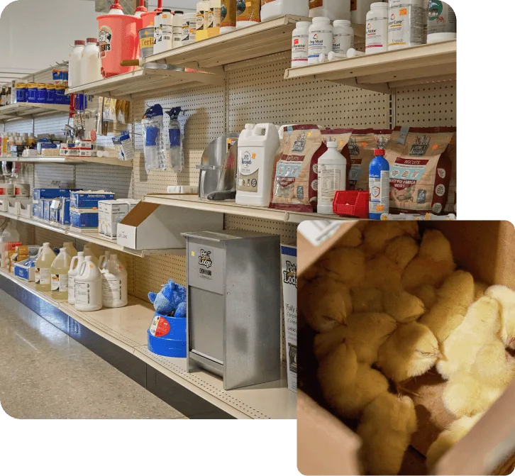 Other Homestead Supplies