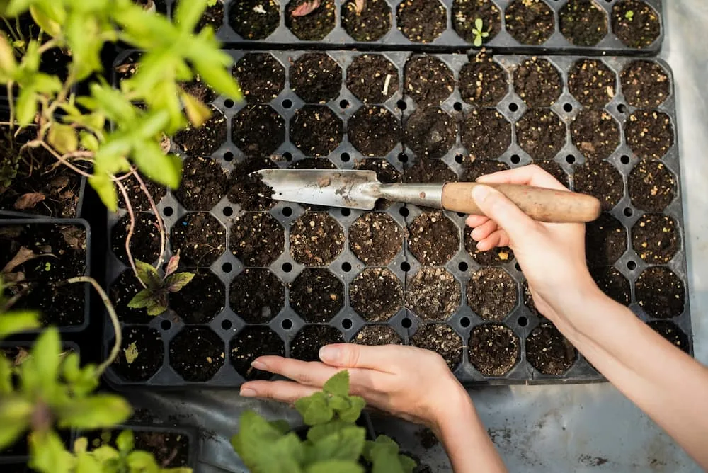 Women Planting Plants